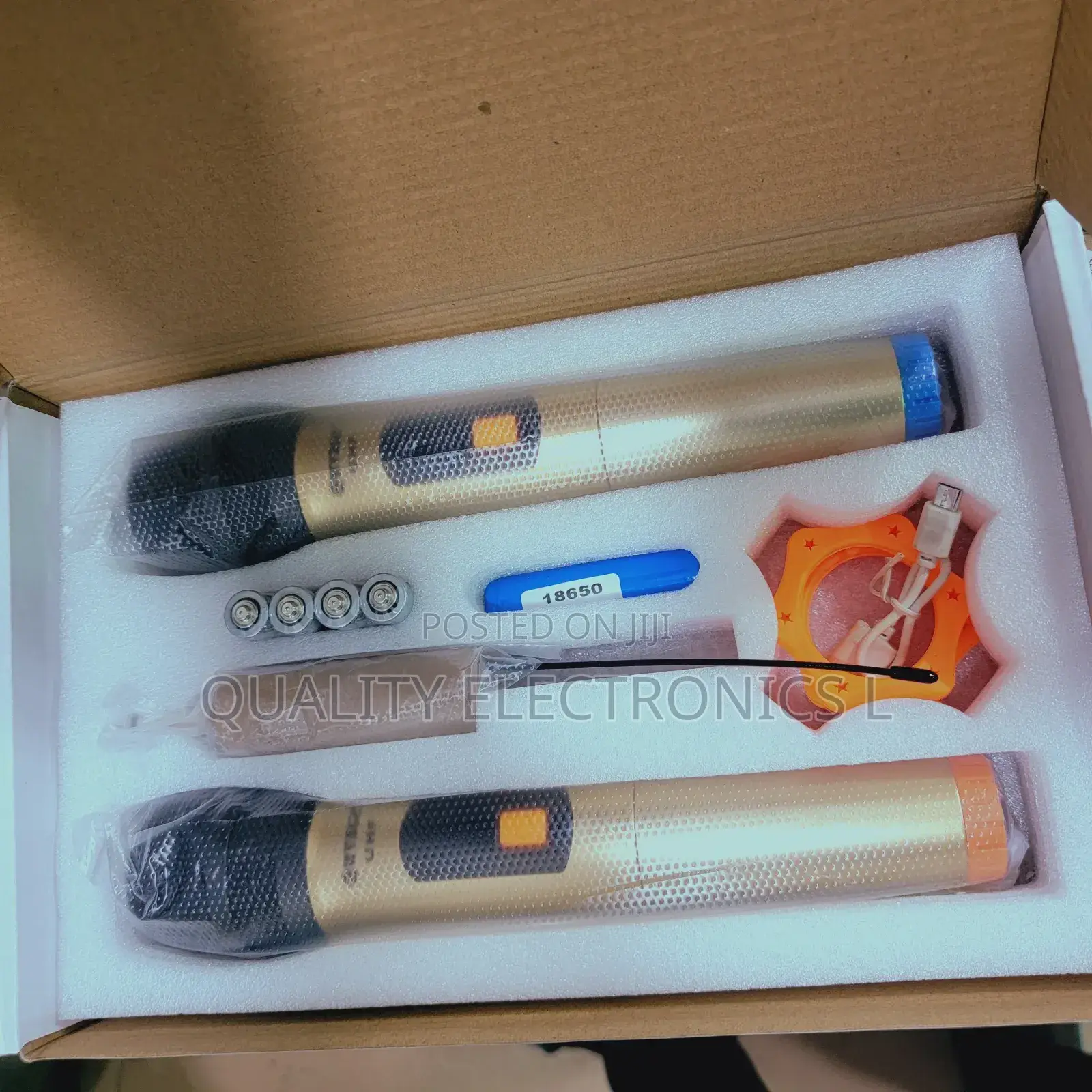 WVNGR Professional Wireless Double Microphone