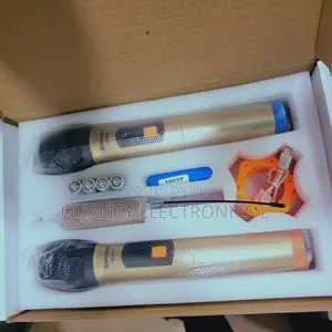 WVNGR Professional Wireless Double Microphone