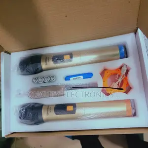 WVNGR Professional Wireless Double Microphone