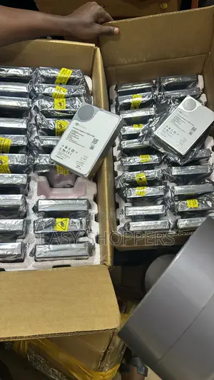 10 Terabyte Hard Disk 10tb