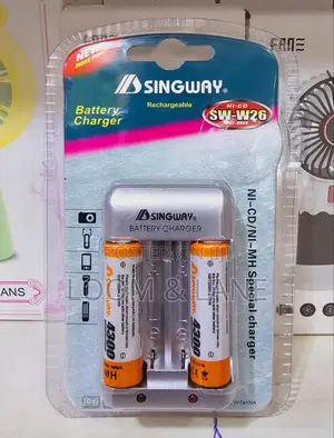 Heavy Duty Singway Rechargeable Battery Charger
