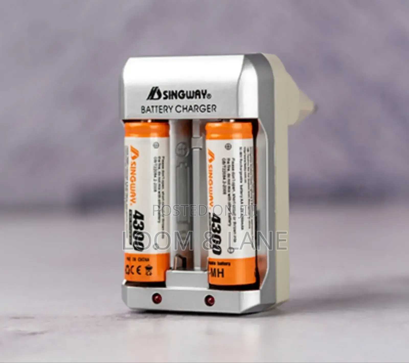 Heavy Duty Singway Rechargeable Battery Charger
