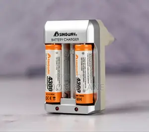 Heavy Duty Singway Rechargeable Battery Charger