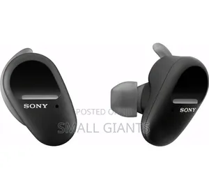 Sony WF-SP800N Earbuds