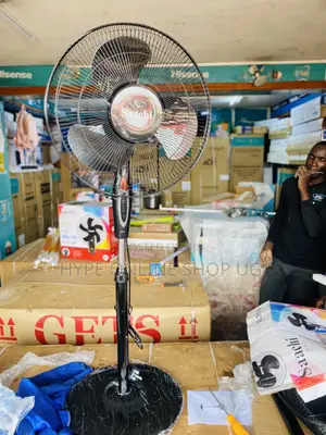 Electric Fan