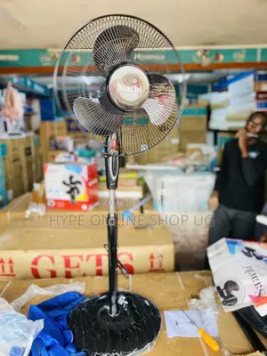 Electric Fan