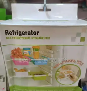 Portable Refrigerator Storage Box