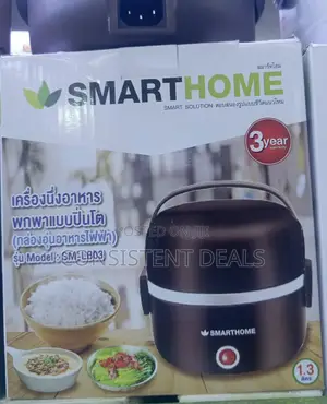 Electric Portable Lunch Box