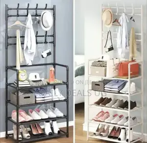 Metallic Hat and Shoe Rack Organizer