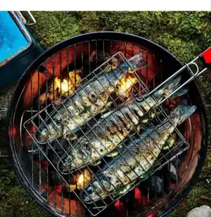 Portable BBQ Grill Net