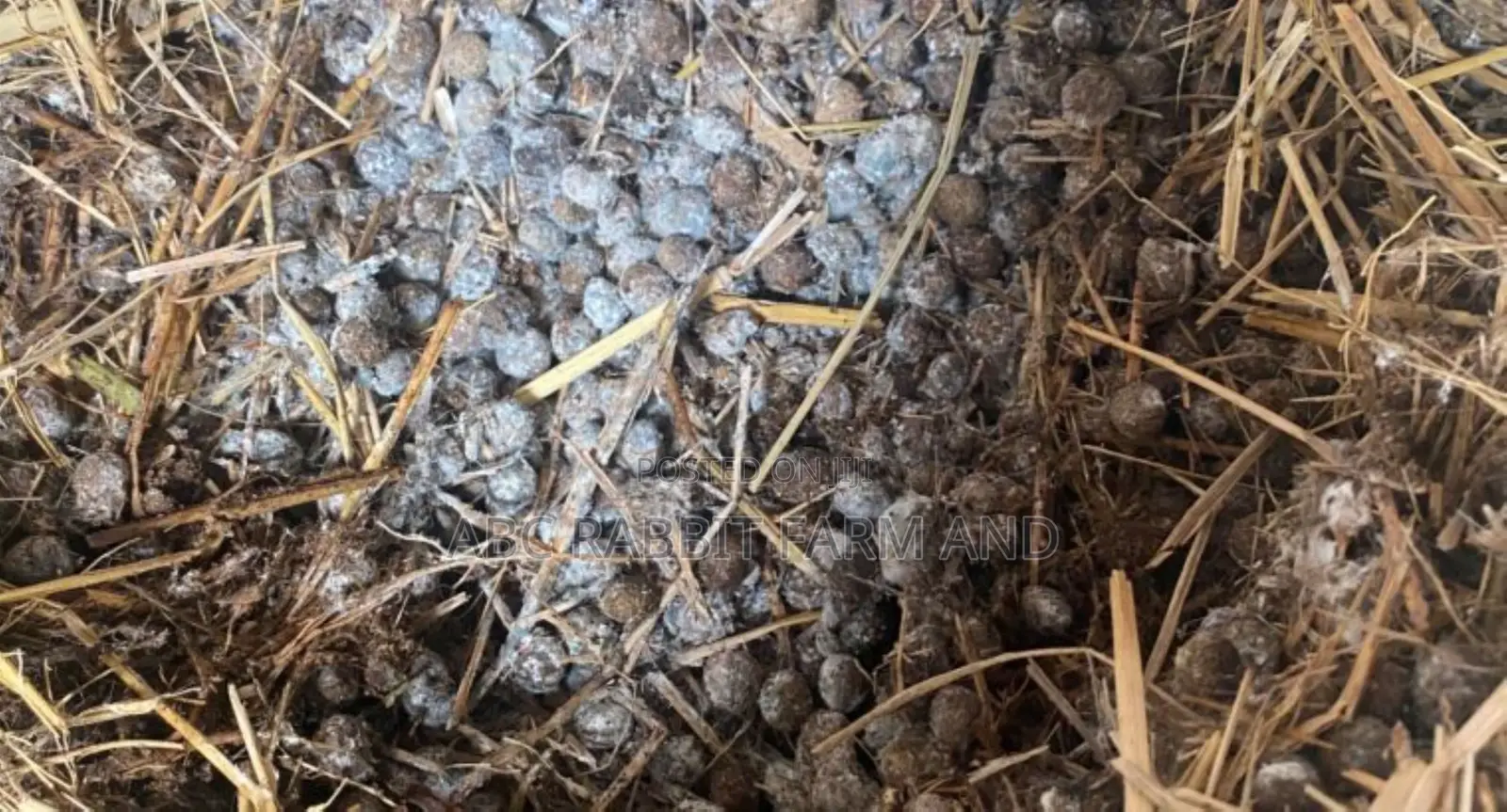 Rabbit Manure 50kg