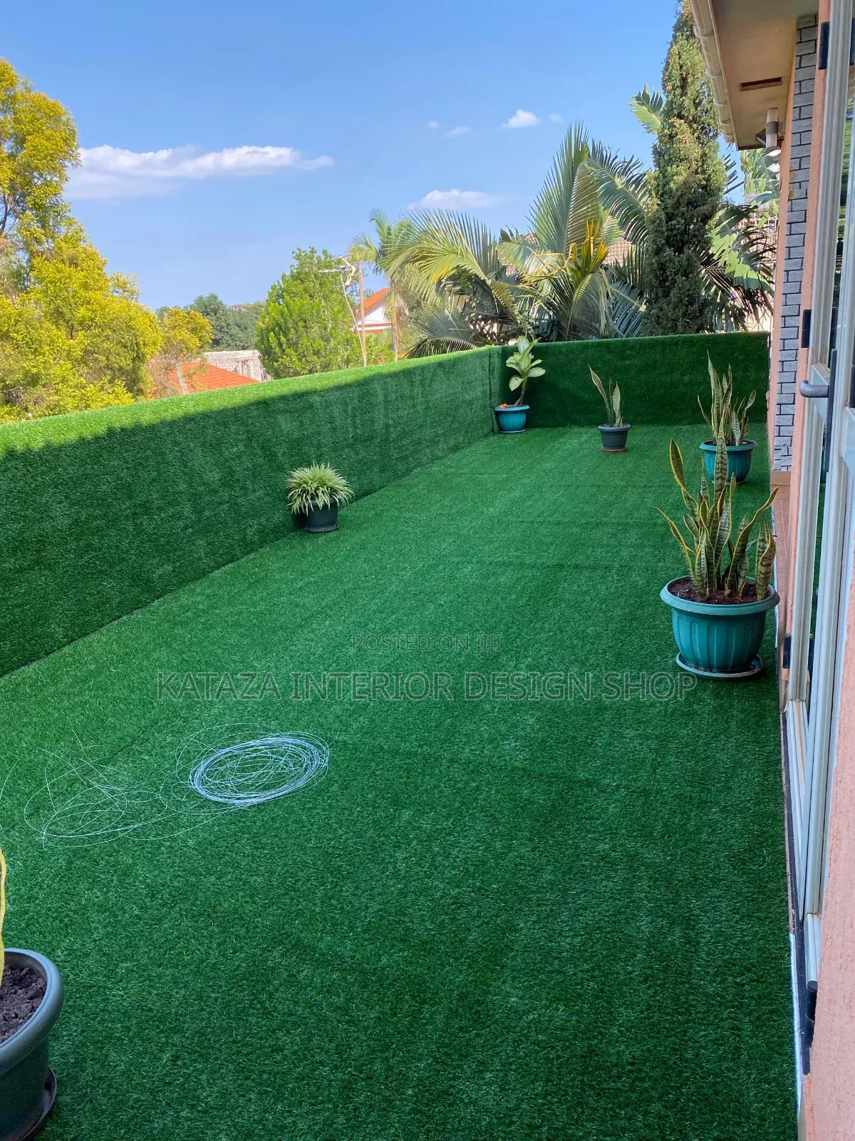 Beat Grass Carpet Grass Carpet