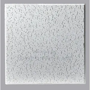 Acoustic Suspended Ceiling