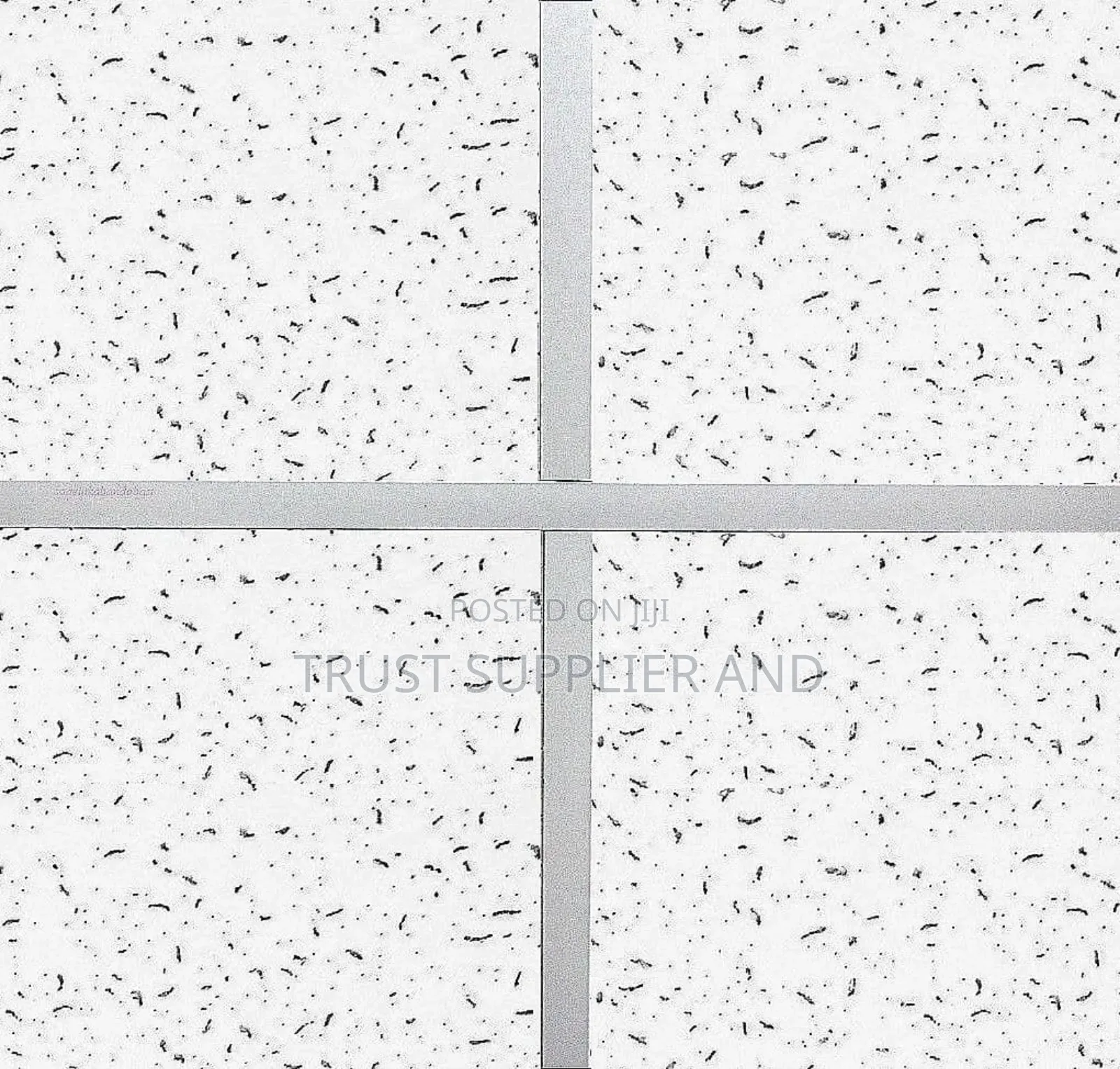 Acoustic Suspended Ceiling