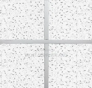 Acoustic Suspended Ceiling