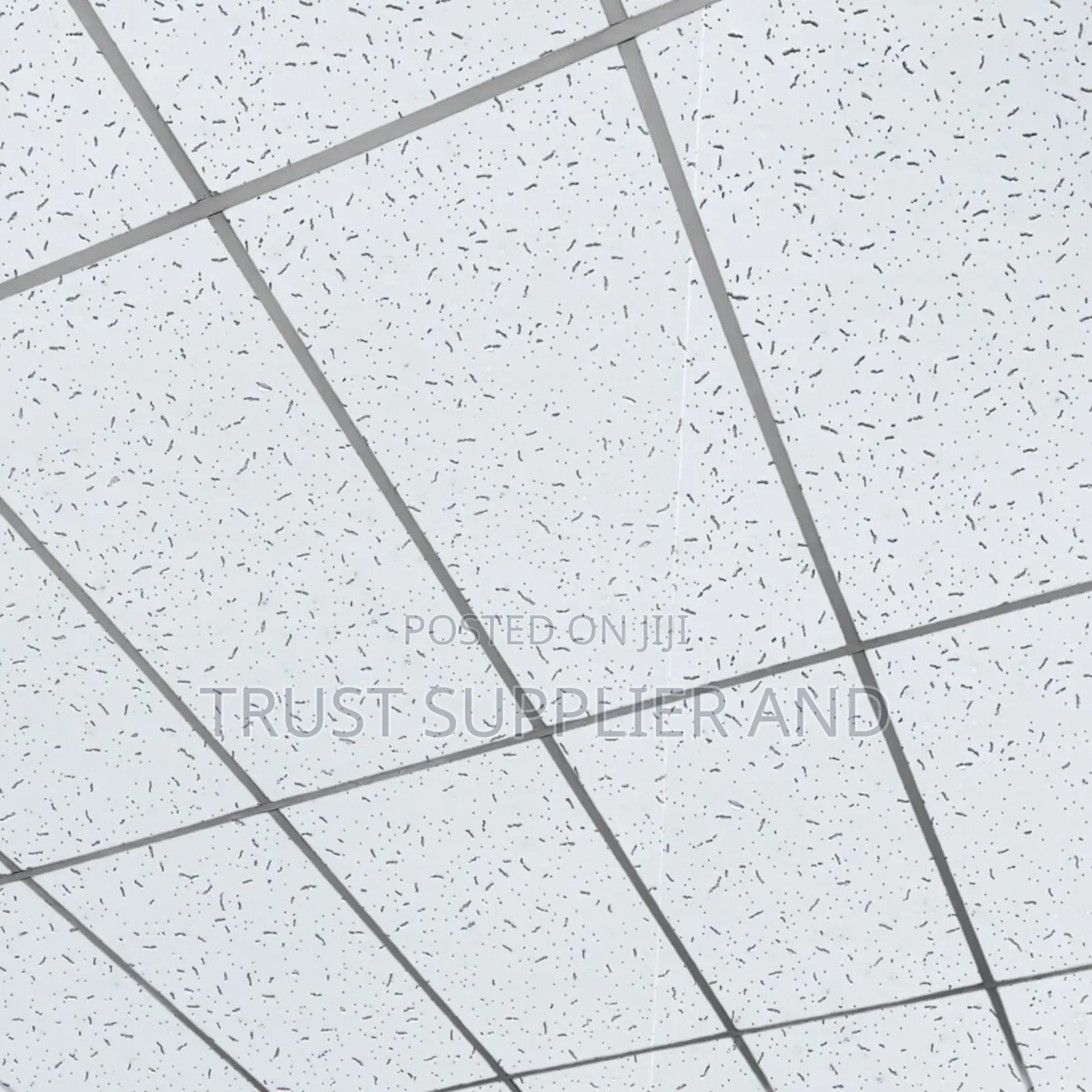 Acoustic Suspended Ceiling