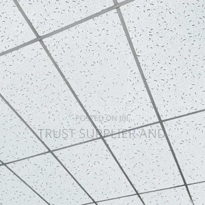 Acoustic Suspended Ceiling