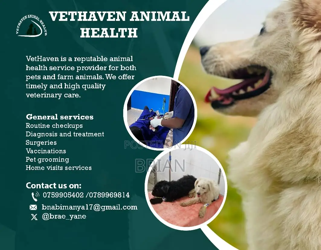Vethaven Animal Health