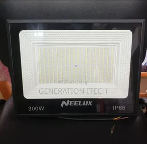 Electric Flood Light- 300w