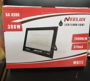 Electric Flood Light- 300w