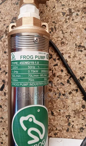 Frog Submersible Pump 100m