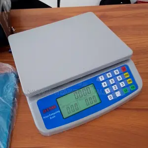 Do You Need a Mini Weigh Scale Digital Table Weighing Scale 30kg Weigh