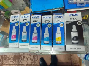 Epson Ink 673 - Original