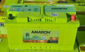Din100 Amaron MFL
