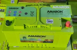 Din100 Amaron MFL