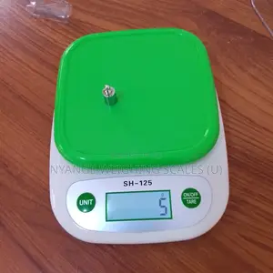 Hot Sale Digital SH¬125 Portable Counter Weighing Scale