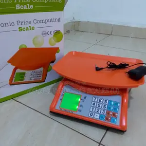 Electronic 40kg Weigh Computing Weighing Scale Portable Weighing Scale