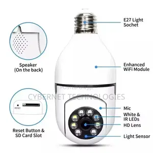 PTV Bulb Outdoor PTZ Camera