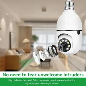 PTV Bulb Outdoor PTZ Camera
