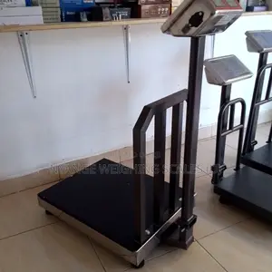 Commercial Weigh Scale Electronic Weigh Pricing Weighing Scale 300kg