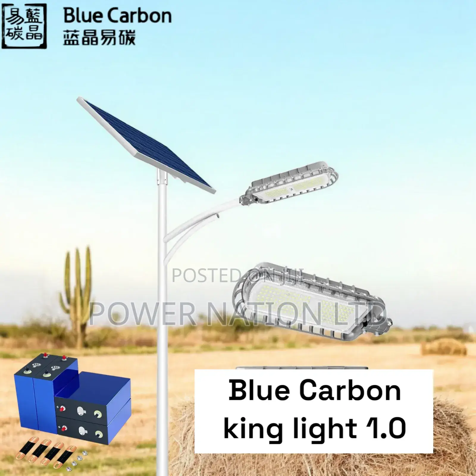 1.0 Blue Carbon King Solar Street Light