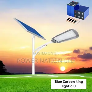 Blue Carbon Heavy Duty King Solar Street Light 3.0