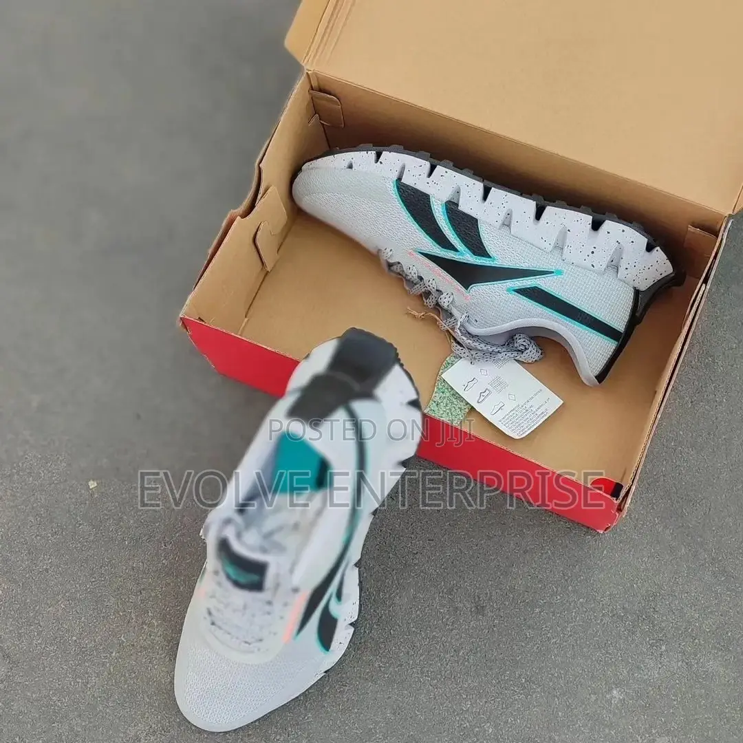 Reebok Zig Dynamica 2 Sneakers