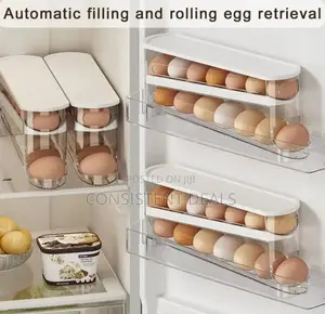 Double Layer Egg Storage Trays