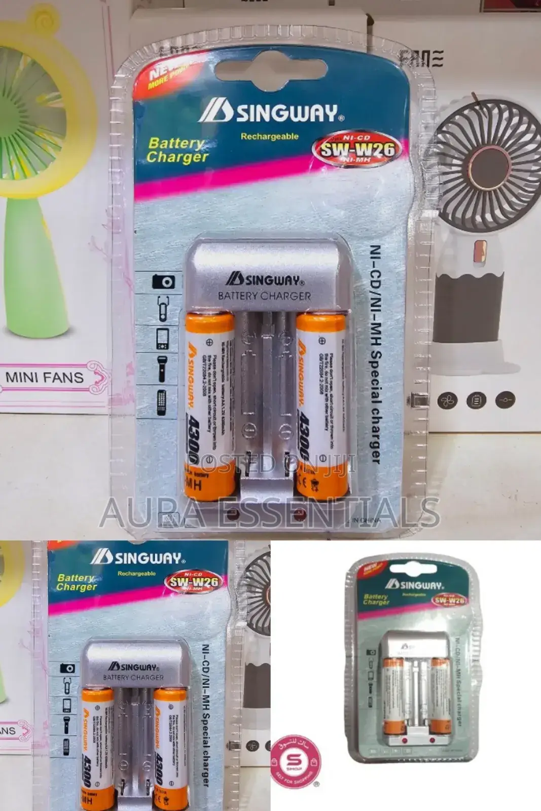 SINGWAY Battery Charger