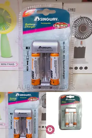 SINGWAY Battery Charger
