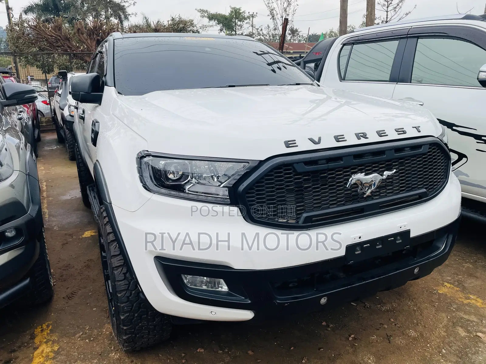Ford Everest 2018 White