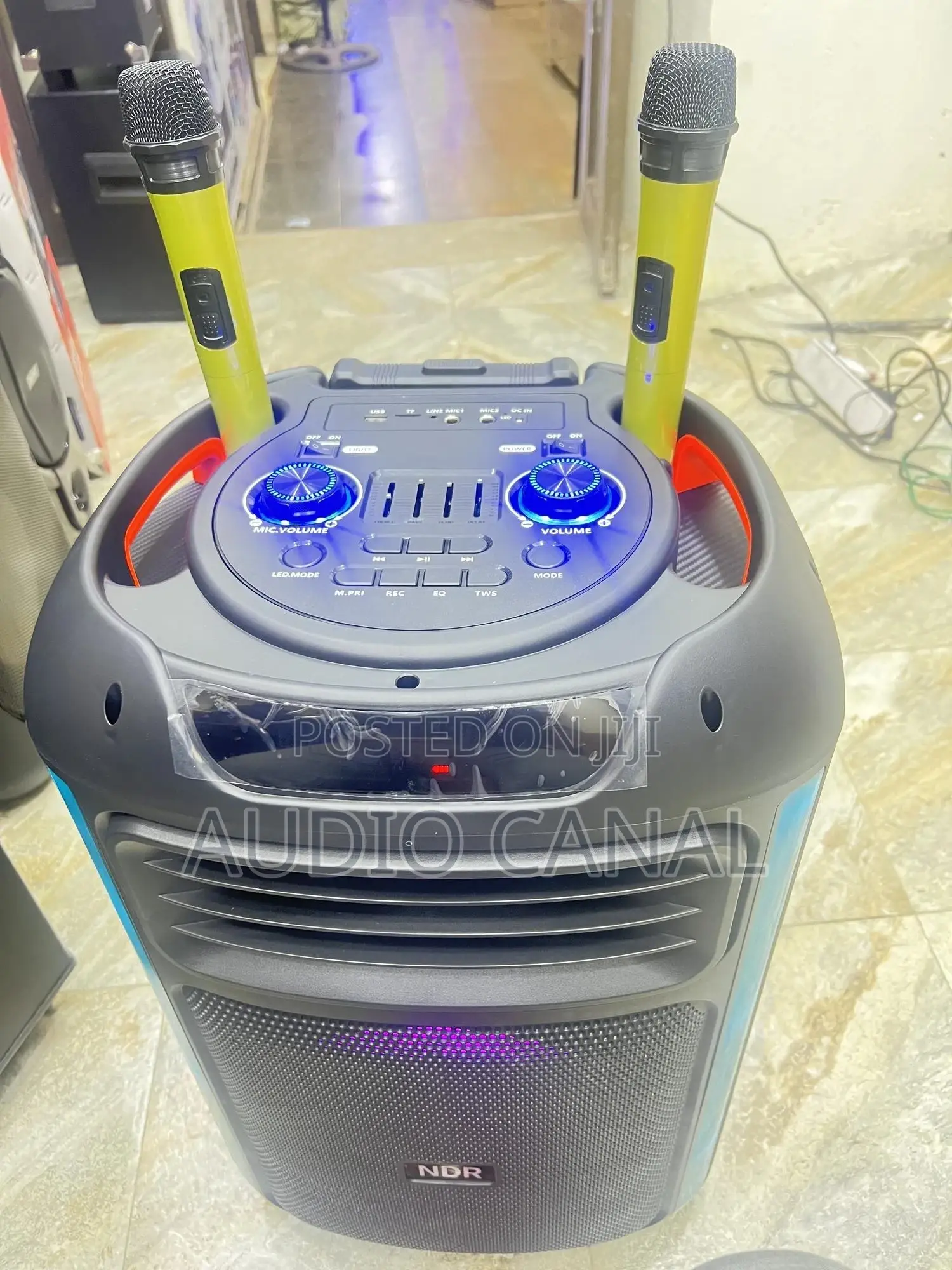 Double Wireless Microphoned Speaker