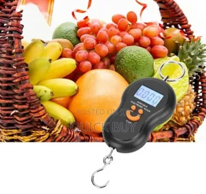 Simple Highly Accurate Portable 50kg Travel Digital Scale
