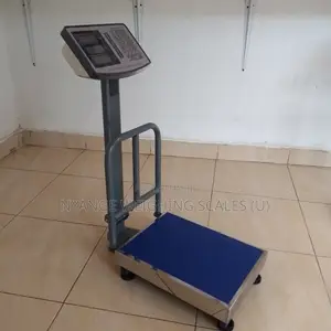 200kg Weigh Computing Digital Weighing Scale Digital Weighing Scale