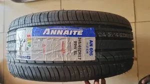 245/45r17 Annaite