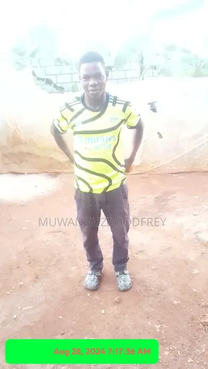 Hey Please L Need a Job