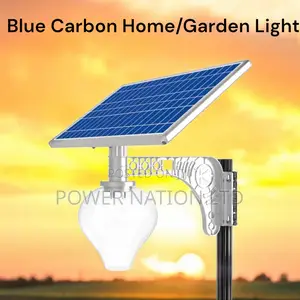 200w Heavy Duty Blue Carbon Garden Solar Light