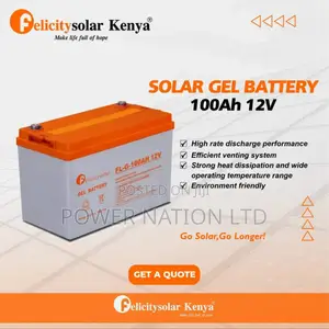 100ah 12v Felicity Solar Battery