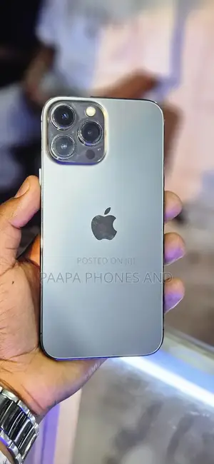 Apple iPhone 13 Pro Max 256 GB Gray