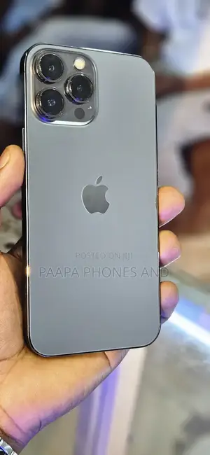 Apple iPhone 13 Pro Max 256 GB Gray